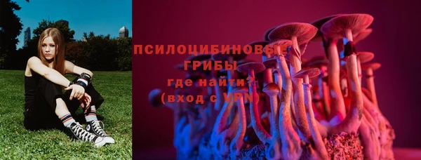 a pvp Богородск